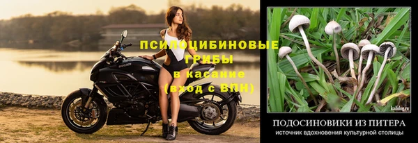 не бодяженный Сатка