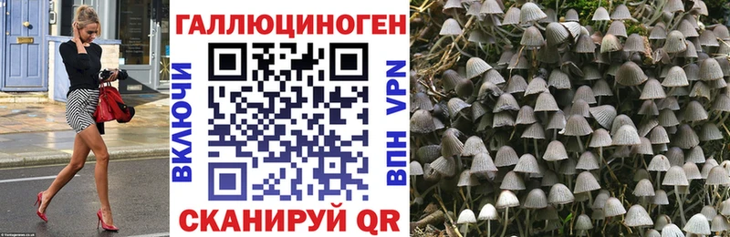 Псилоцибиновые грибы GOLDEN TEACHER  магазин    MEGA вход  Калуга 